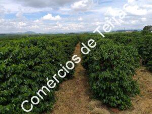 b40cdb16-4d07-47f2-b9ba-56a6e0193967