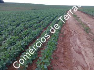 fe953d7c-bc7e-456d-8a75-cd6cf0c0300e