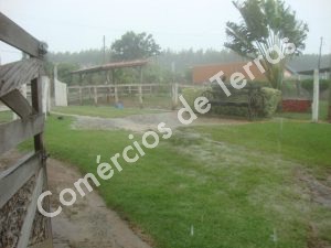 dsc03016