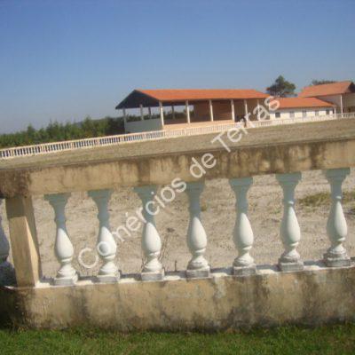 dsc03705