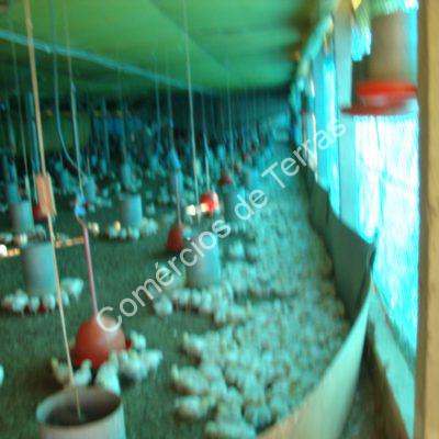 dsc05434