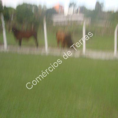 dsc06641