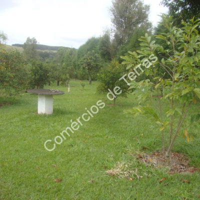 dsc09681