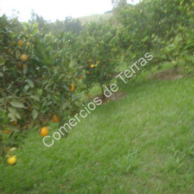 dsc09684
