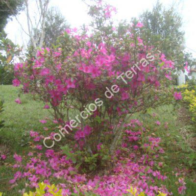dsc09703