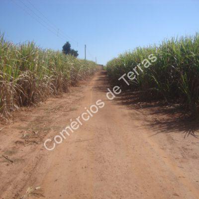 dsc01160