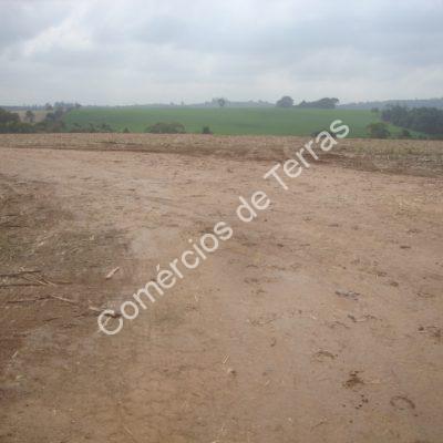 dsc01206