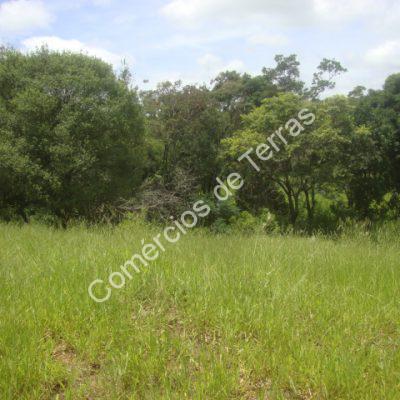 dsc01945-1