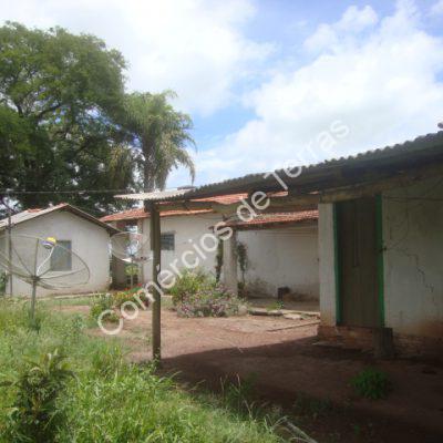 dsc01953-1