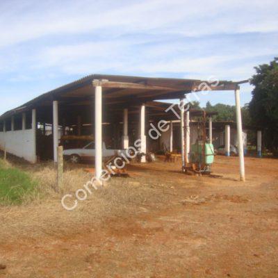 dsc03650