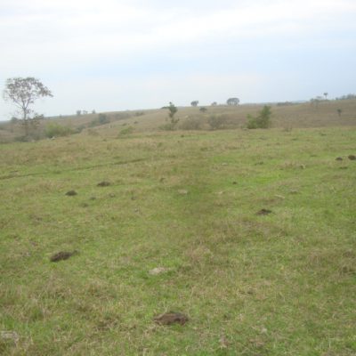 dsc03872