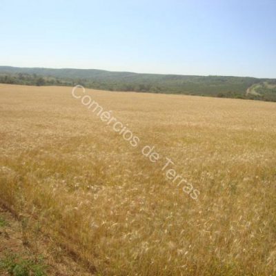 dsc04065