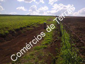 foto0704