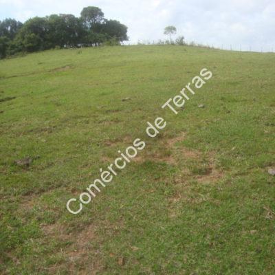 DSC04476