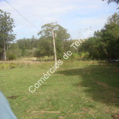DSC04481