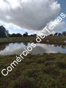 IMG-20230517-WA0006