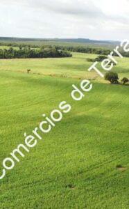 d544b658-5dbe-42ea-97d2-fd1526351863